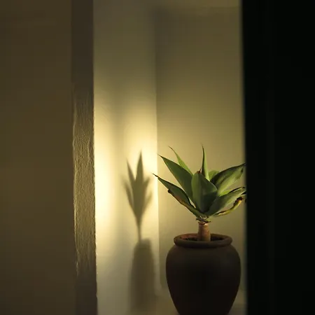 Casa No Tiempo Descanso & Naturaleza